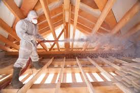 Best Blown-In Insulation  in Coldwater, MI